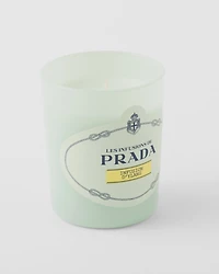 Infusion d'Ylang Candle