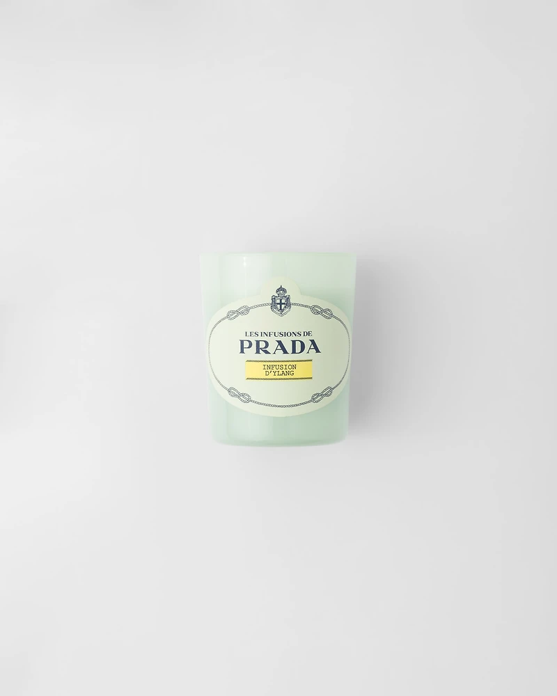 Infusion d'Ylang Candle