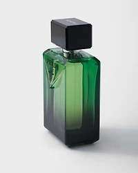 Paradigme EDP 100 ml