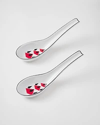 Set of two porcelain spoons
