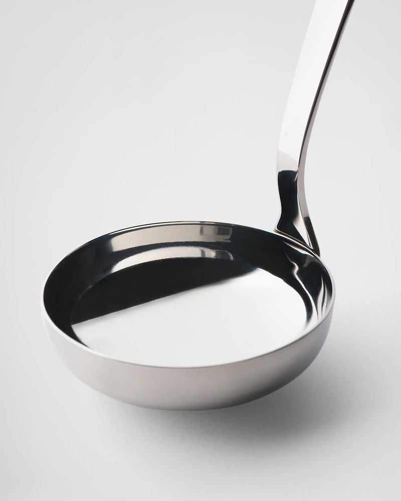 Stainless steel ladle