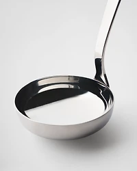 Stainless steel ladle