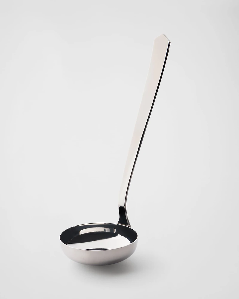 Stainless steel ladle