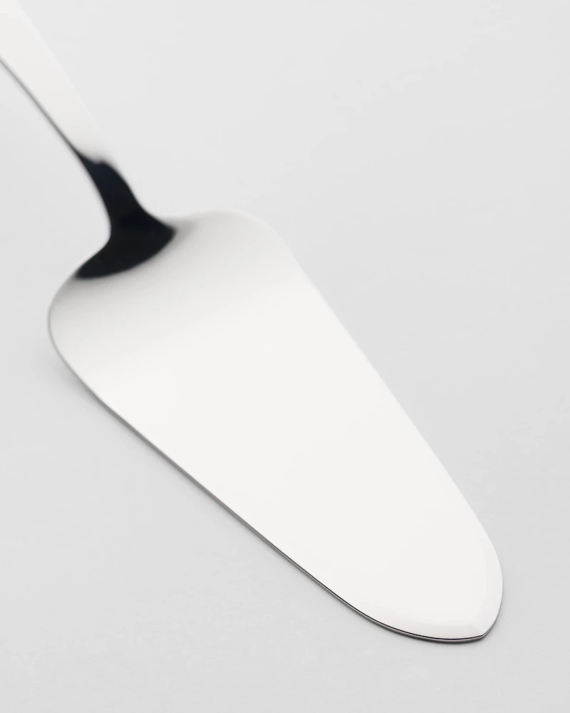 Stainless steel cake server