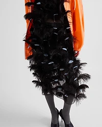 Feather-embellished silk organza dress