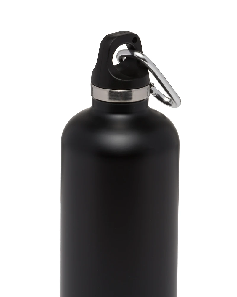 Stainless steel insulated water bottle