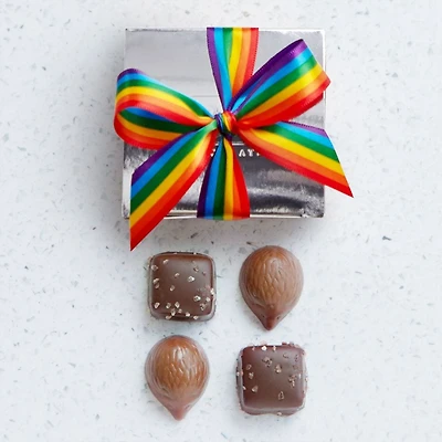 Assorted Chocolate Silver Favour, Rainbow Ribbon, 4 pc