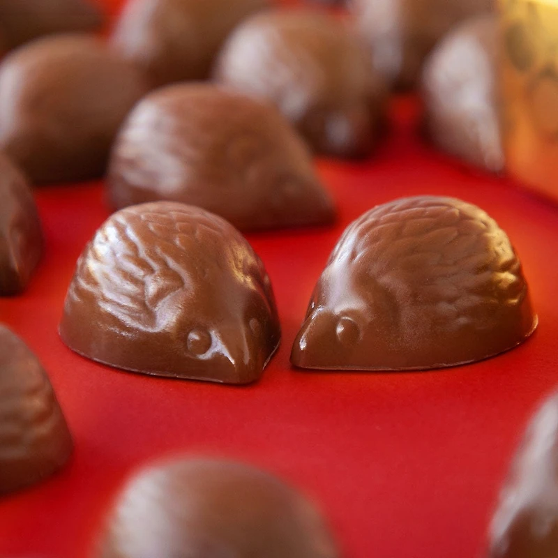 Hedgehogs, 20 pc