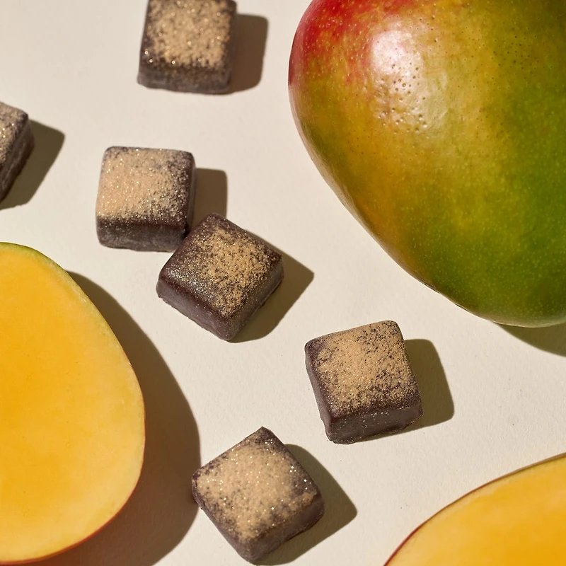 Plant-Based Dark Chocolate Collection, 12 pc