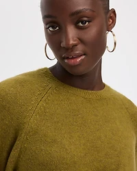 PlushSoft Long-Sleeve Crew-Neck Dress