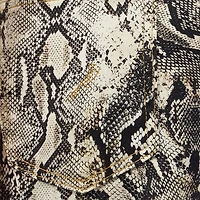 Pants With Python Print