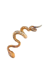 Snake Napkin Holder Set
