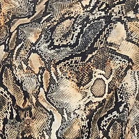 Mini Dress With Python Print