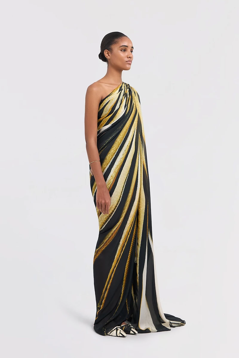 Ray Of Gold Print Silk Maxi Dress