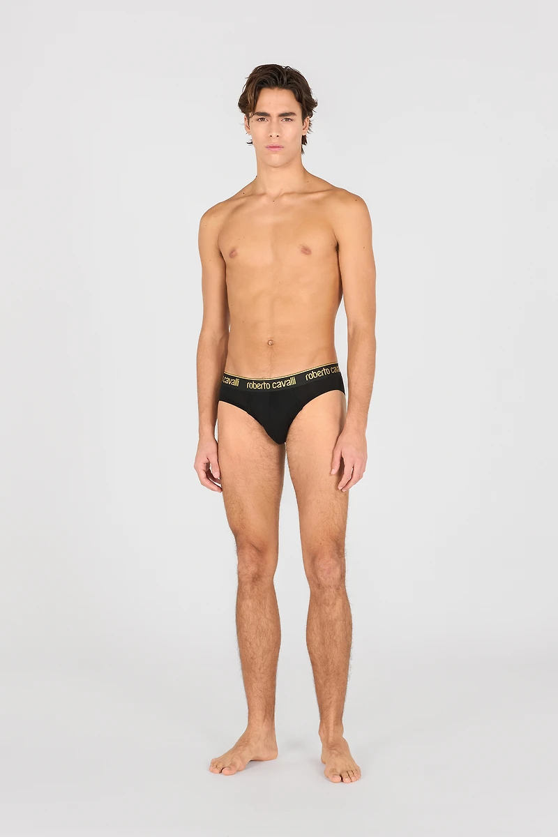Roberto Cavalli Logo Briefs