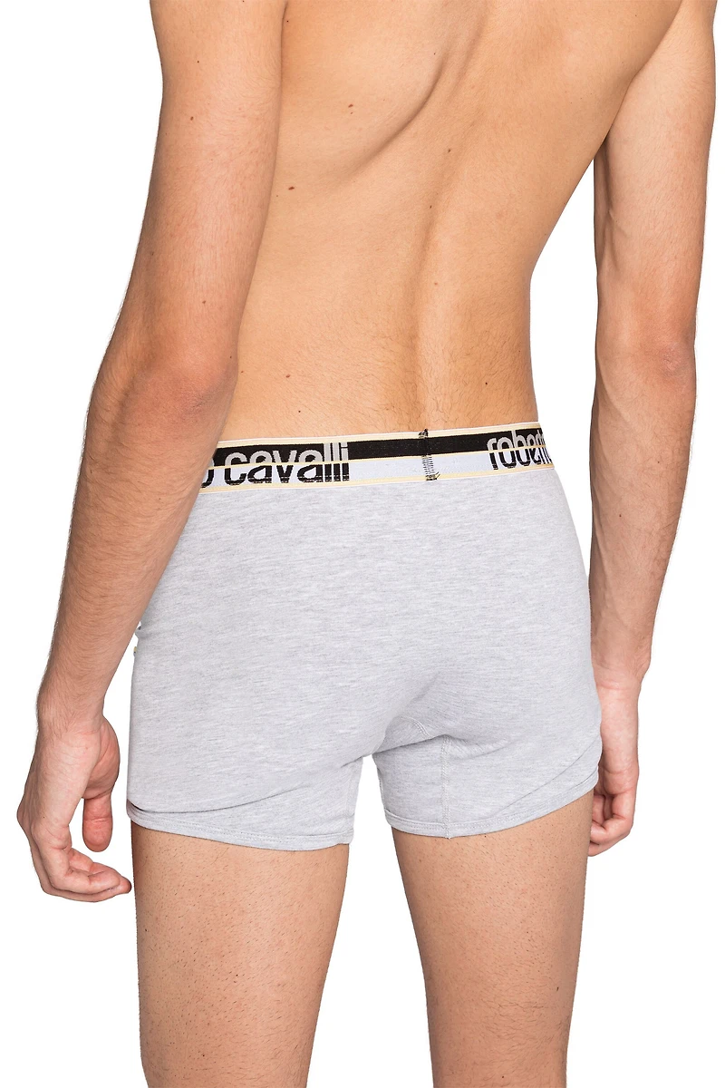 Logo Boxer Briefs