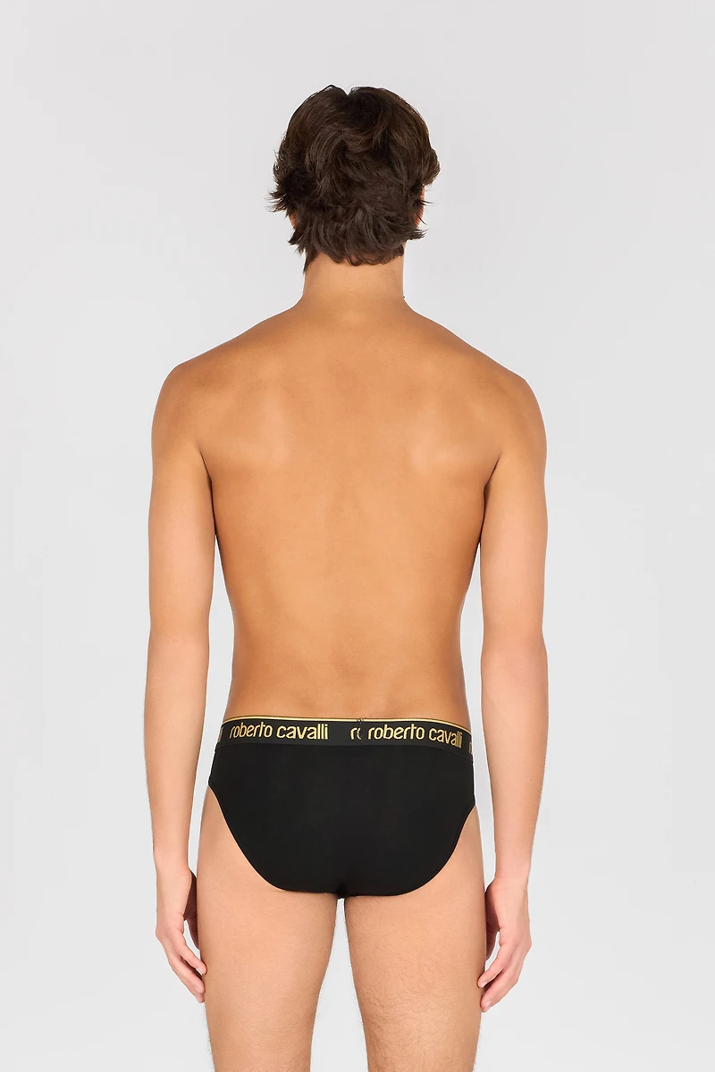 Roberto Cavalli Logo Briefs