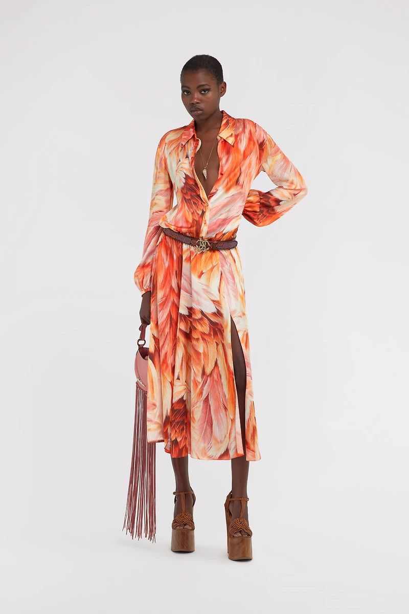 Long dress Plumage print