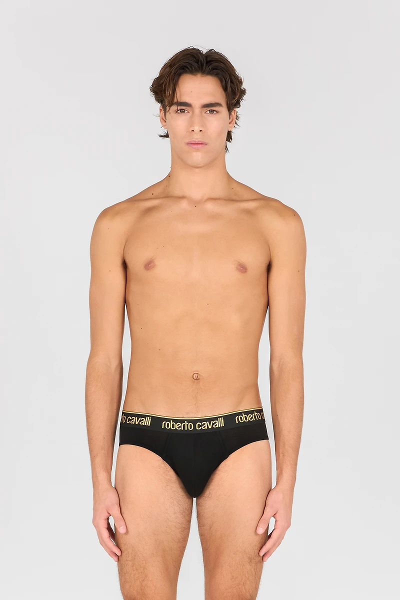 Roberto Cavalli Logo Briefs