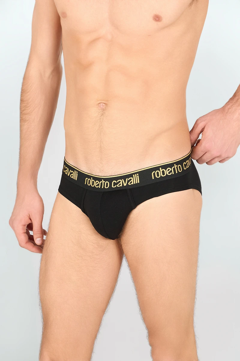 Set of two briefs with logo band
