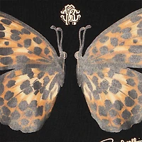 Black Dress with Jaguar Skin and Butterfly Inserts