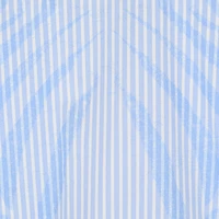 Striped Shirt With Zebra Pattern