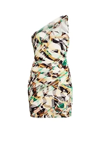 Macro Tiger Twiga tulle dress