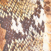Python Print Jacket