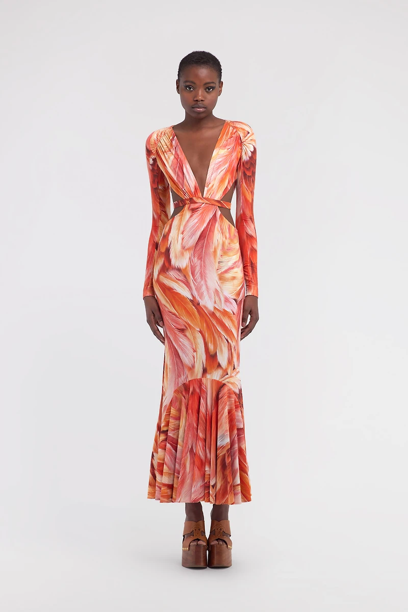 Plumange Print Maxi Dress