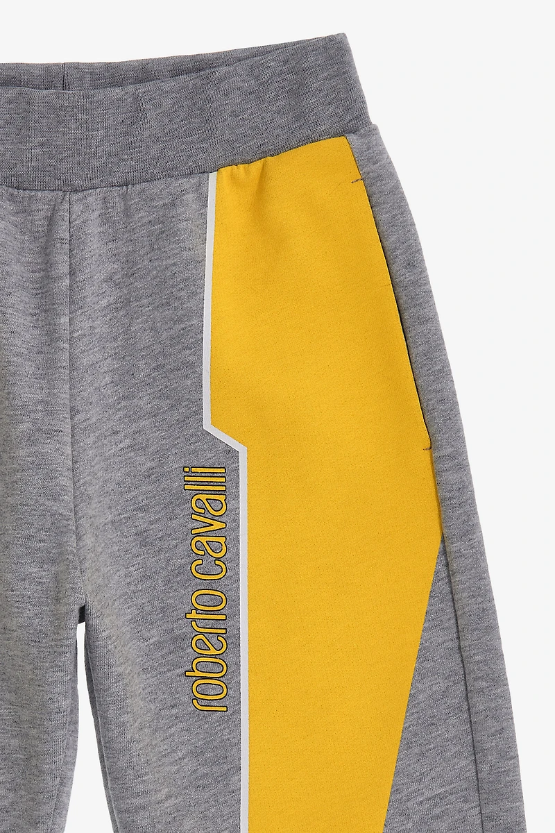 Bold Adventure Shorts