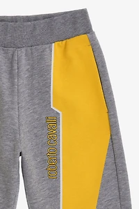 Bold Adventure Shorts