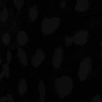 Black Bodysuit With Jaguar Skin Pattern