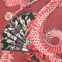 Knee-High Boots With Dragon Print