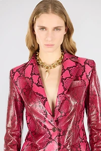 Shiny Python-Print Jacket