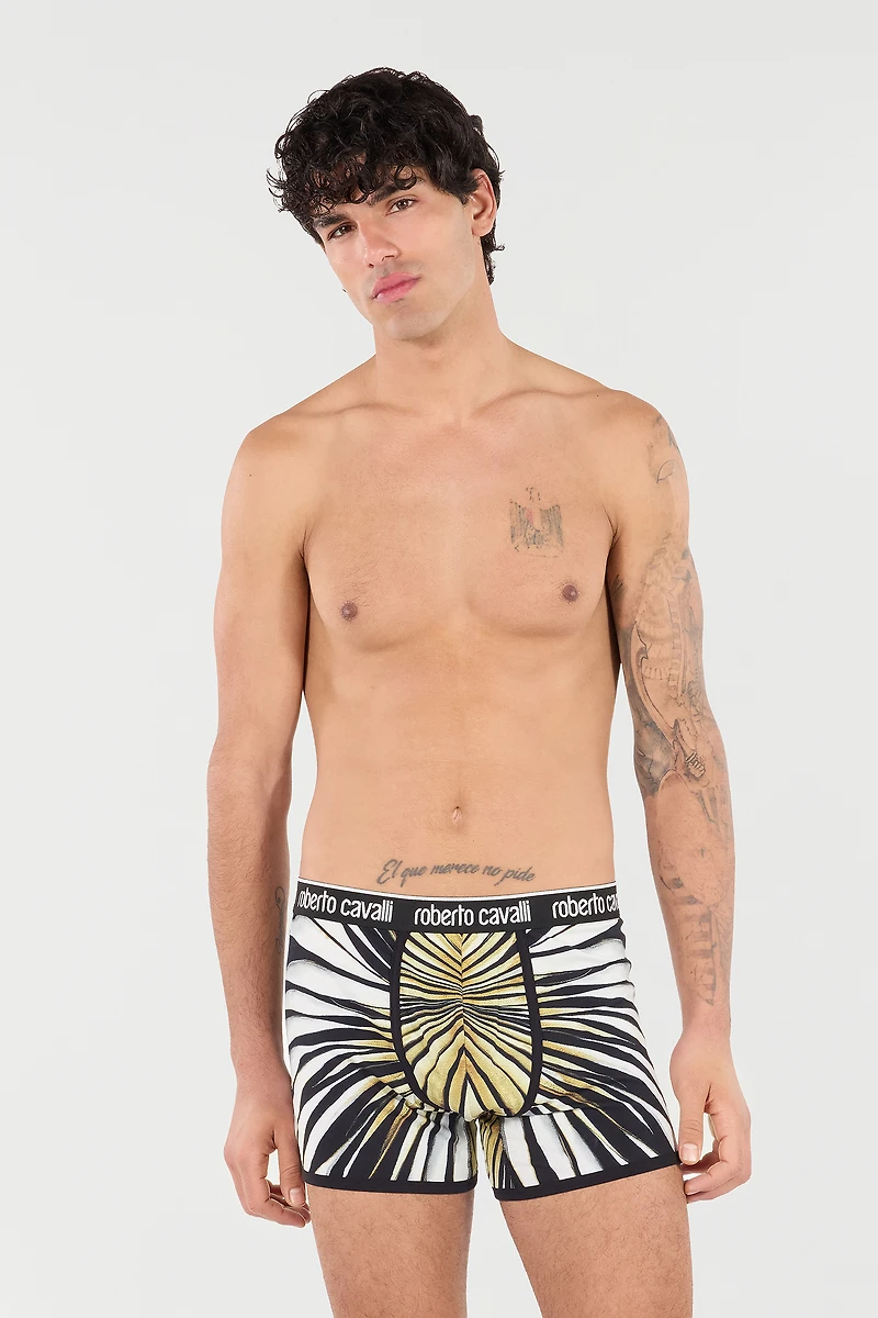 Boxers With Ray Of Gold Print