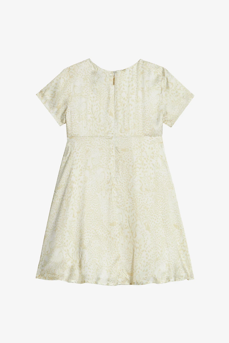Dress With Cheetahs And Cheetah Skin