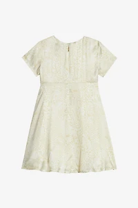 Dress With Cheetahs And Cheetah Skin