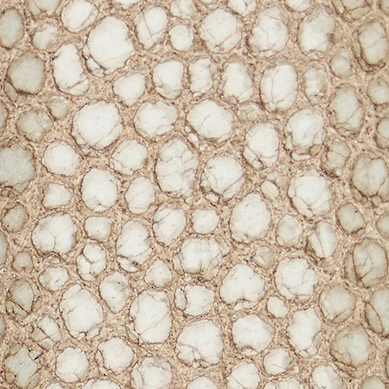 Belt with Decorative Buckle