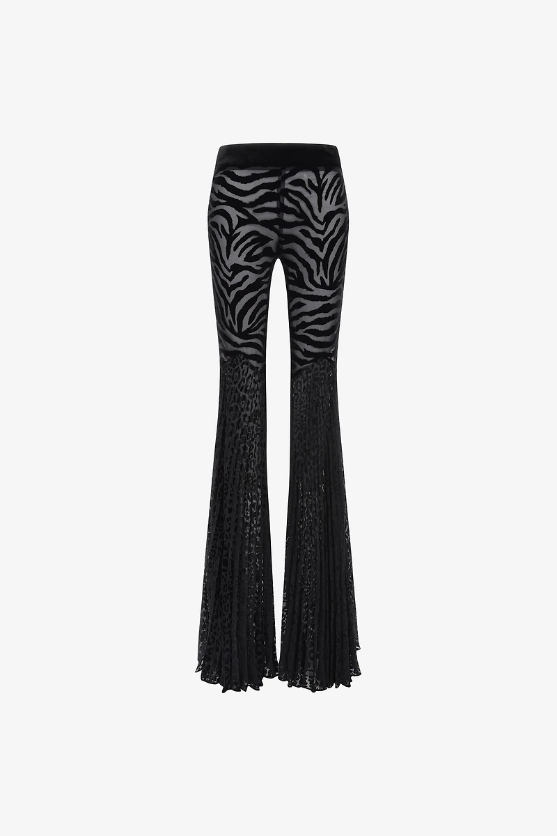 Velvet pants with Ray of Gold print