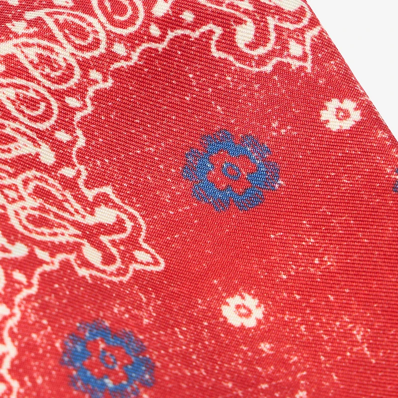 Bandana Print Earrings