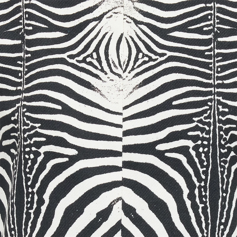 Zebra Print Jacket