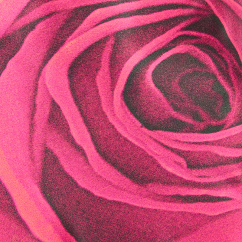 Dress With Rose Print And Flounces