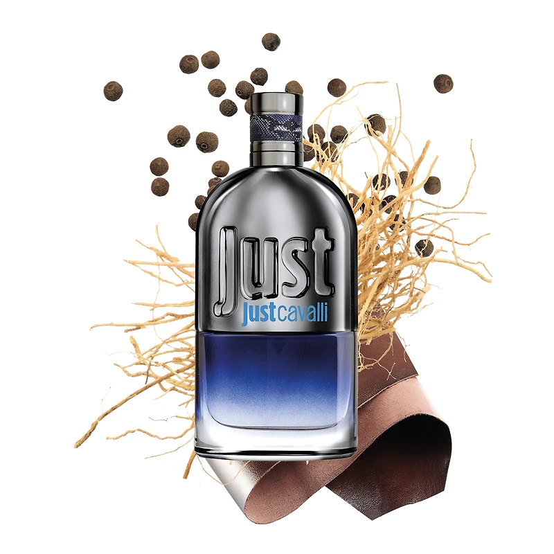 JUST CAVALLI FOR HIM EAU DE TOILETTE 30 ML