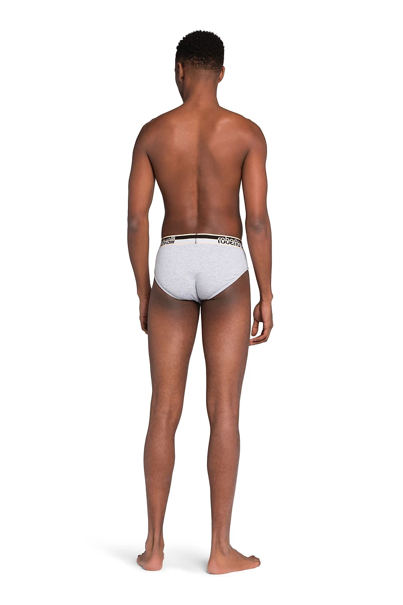 Logo Briefs
