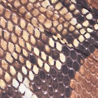 Python Print One-Piece Swimsuit