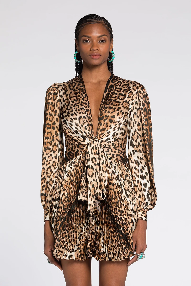 Leopard-Print Mini Dress
