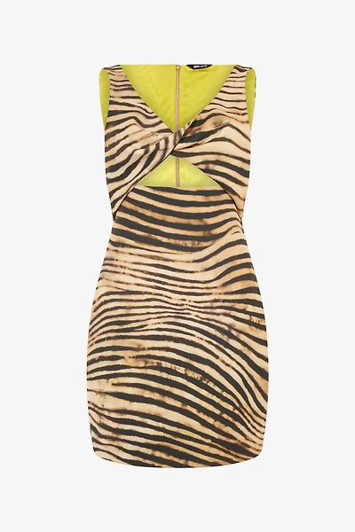 Mini Dress With Tiger Skin Print