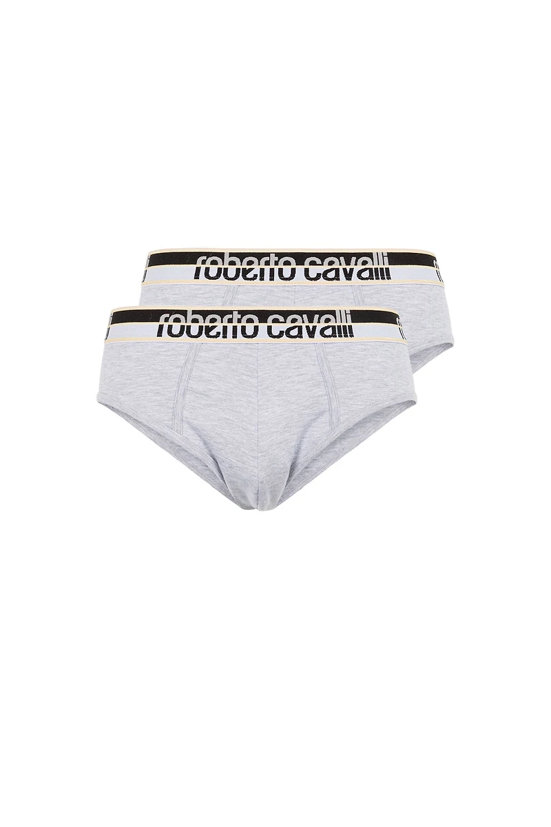 Logo Briefs