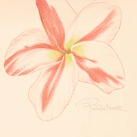 Flower print T-shirt