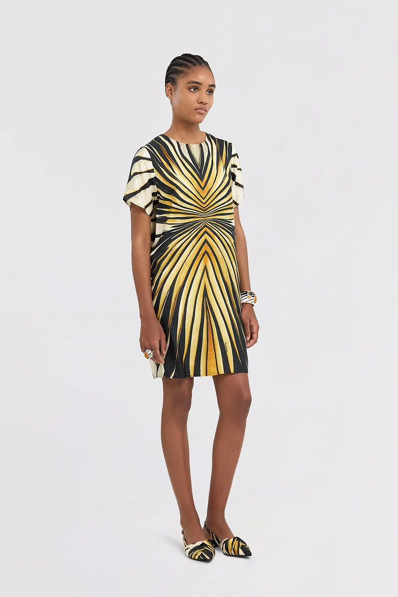 Ray Of Gold Print Silk Mini Dress